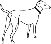 Clipart Image For Gravemarker Monument Dog 17